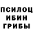 Псилоцибиновые грибы GOLDEN TEACHER Romello Pietersz