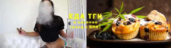 тгк Абаза