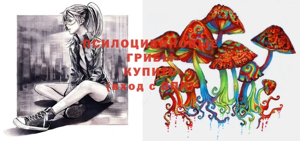 тгк Абаза