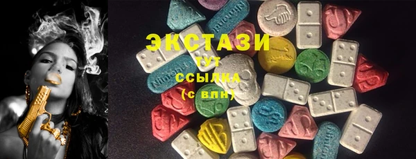 тгк Абаза