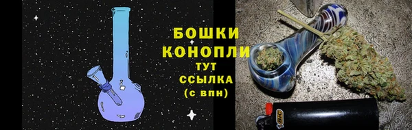 тгк Абаза