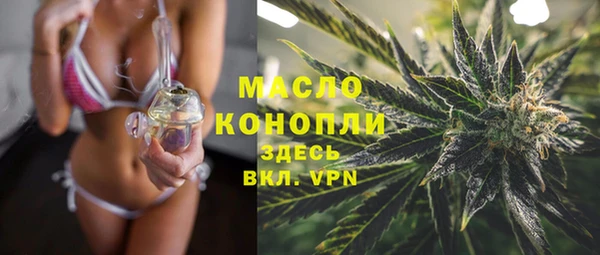 тгк Абаза