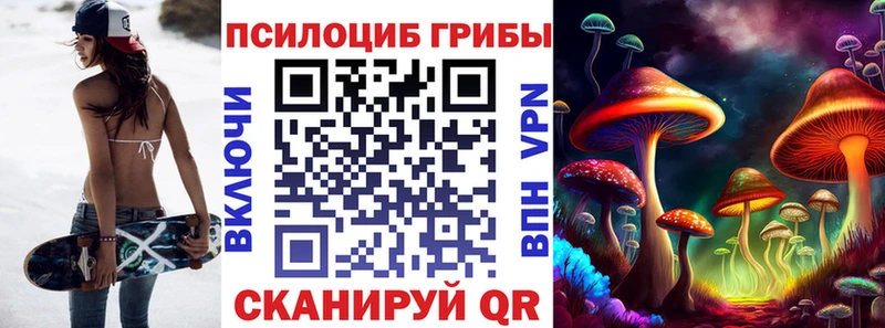 где можно купить   Суздаль  Галлюциногенные грибы Cubensis 
