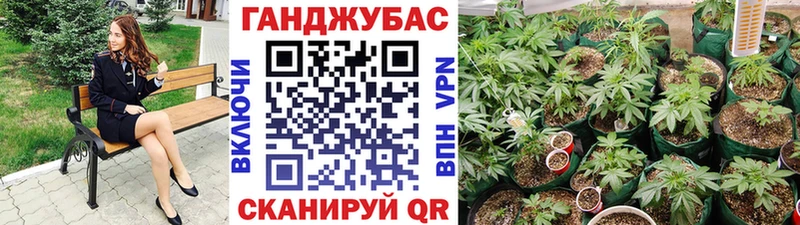 купить закладку Суздаль МАРИХУАНА гибрид